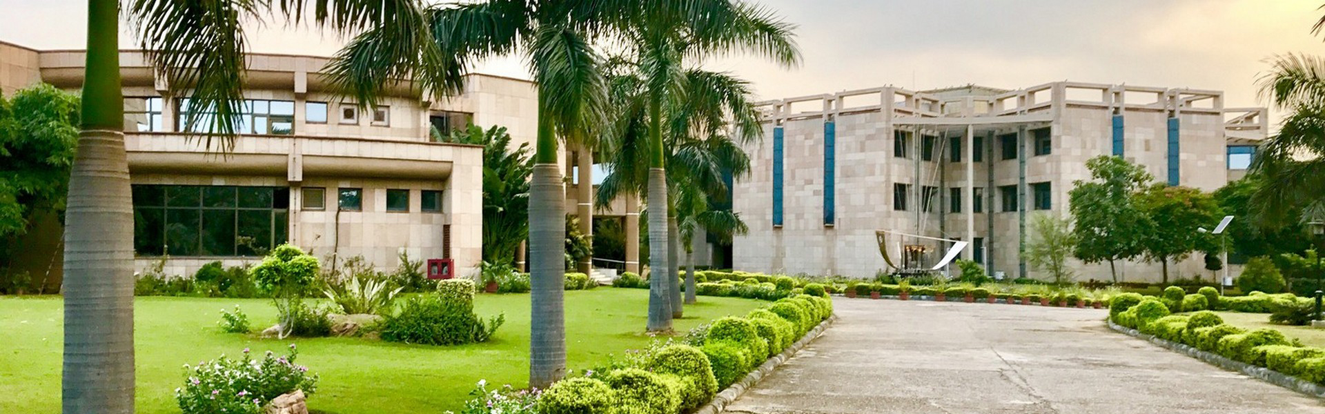 Student trainee position at national institute of plant genome research